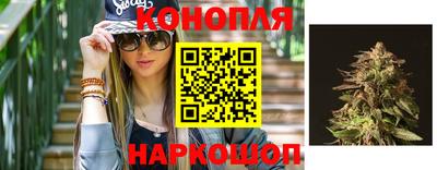 шишки Комсомольск-на-Амуре