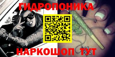 шишки Комсомольск-на-Амуре